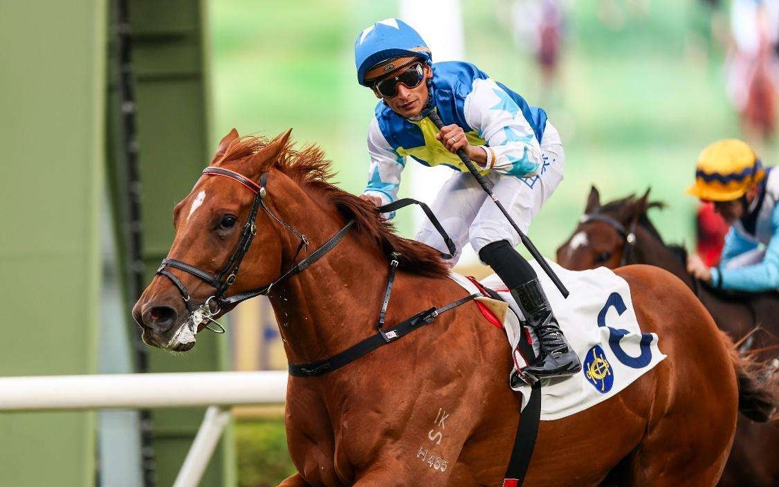 香港赛马会2025好运1月1赛马日_香港赛马会资料库官网_内地游客增长近一倍