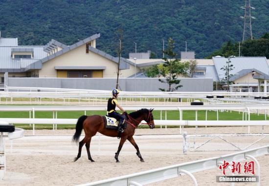 香港赛马会资料库官网_香港2018至19年度赛马季收官之战_香港赛马季投注总额创新高