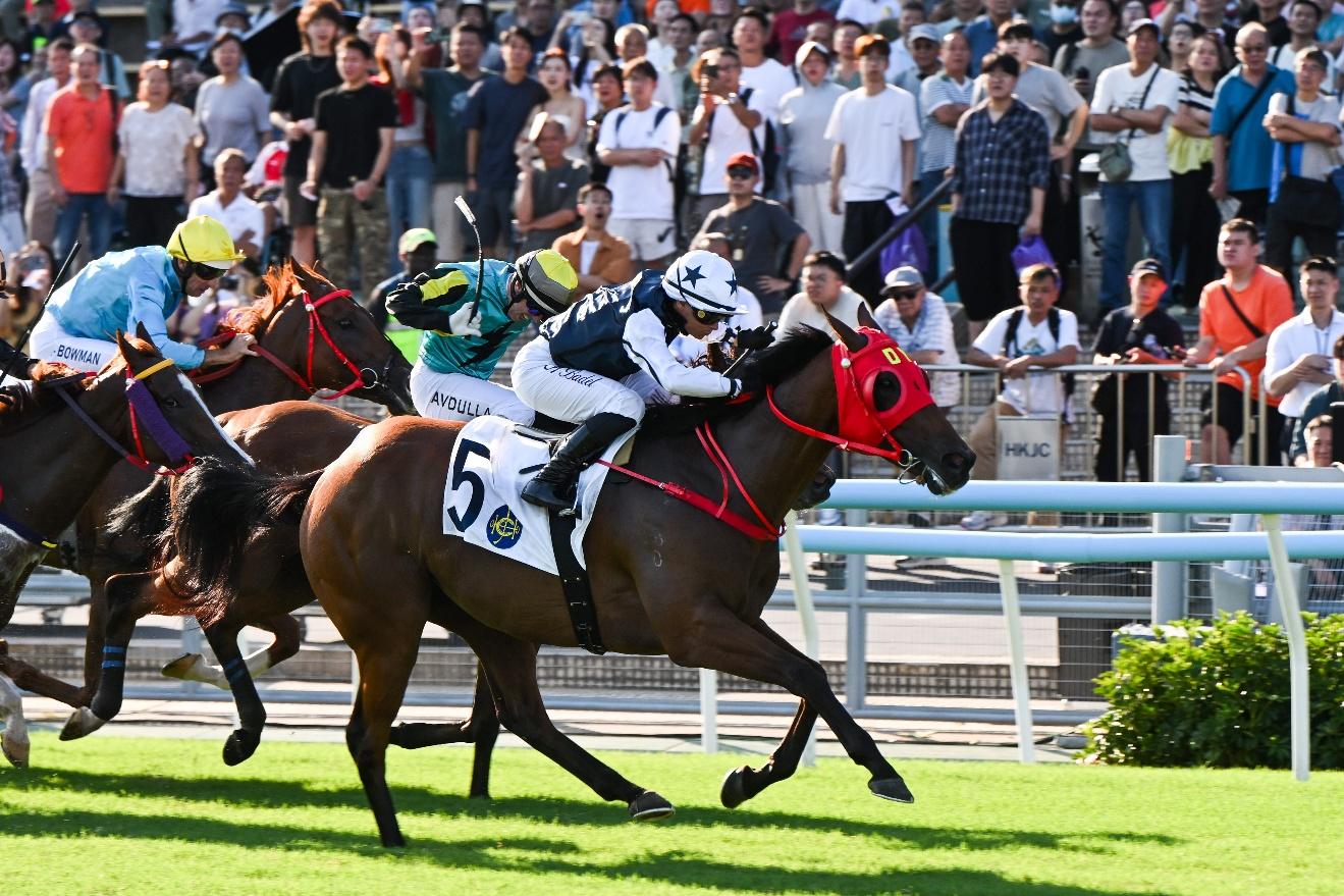 香港赛马会资料库官网_内地游客入场人数纪录_香港国庆赛马日