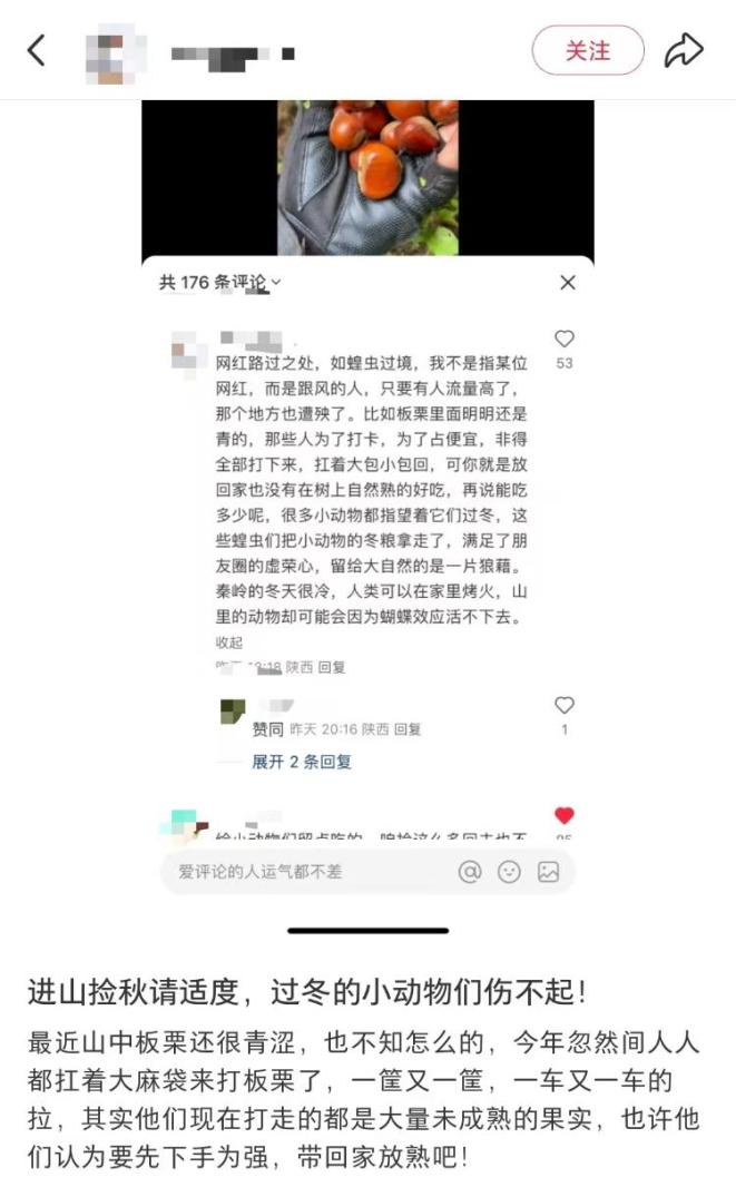 秦岭野生板栗采摘攻略_陕西秦岭捡板栗适度采集倡议_景区回应游客捡板栗壳被说成偷东西