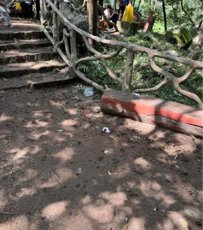 陕西秦岭捡板栗适度采集倡议_秦岭野生板栗采摘攻略_景区回应游客捡板栗壳被说成偷东西