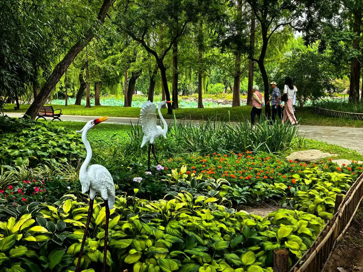 颐和园东宫门疏导路线_颐和园上演“彩云追月”_颐和园国庆花坛