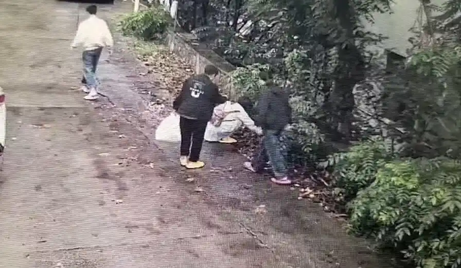 民宿老板指责游客偷盗事件_连云港花果山景区捡果实冲突_景区回应游客捡板栗壳被说成偷东西