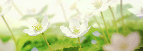 杜传旺被充气时照片_杜传旺高压气体事件_山东夏津汽修厂男孩被灌气昏迷