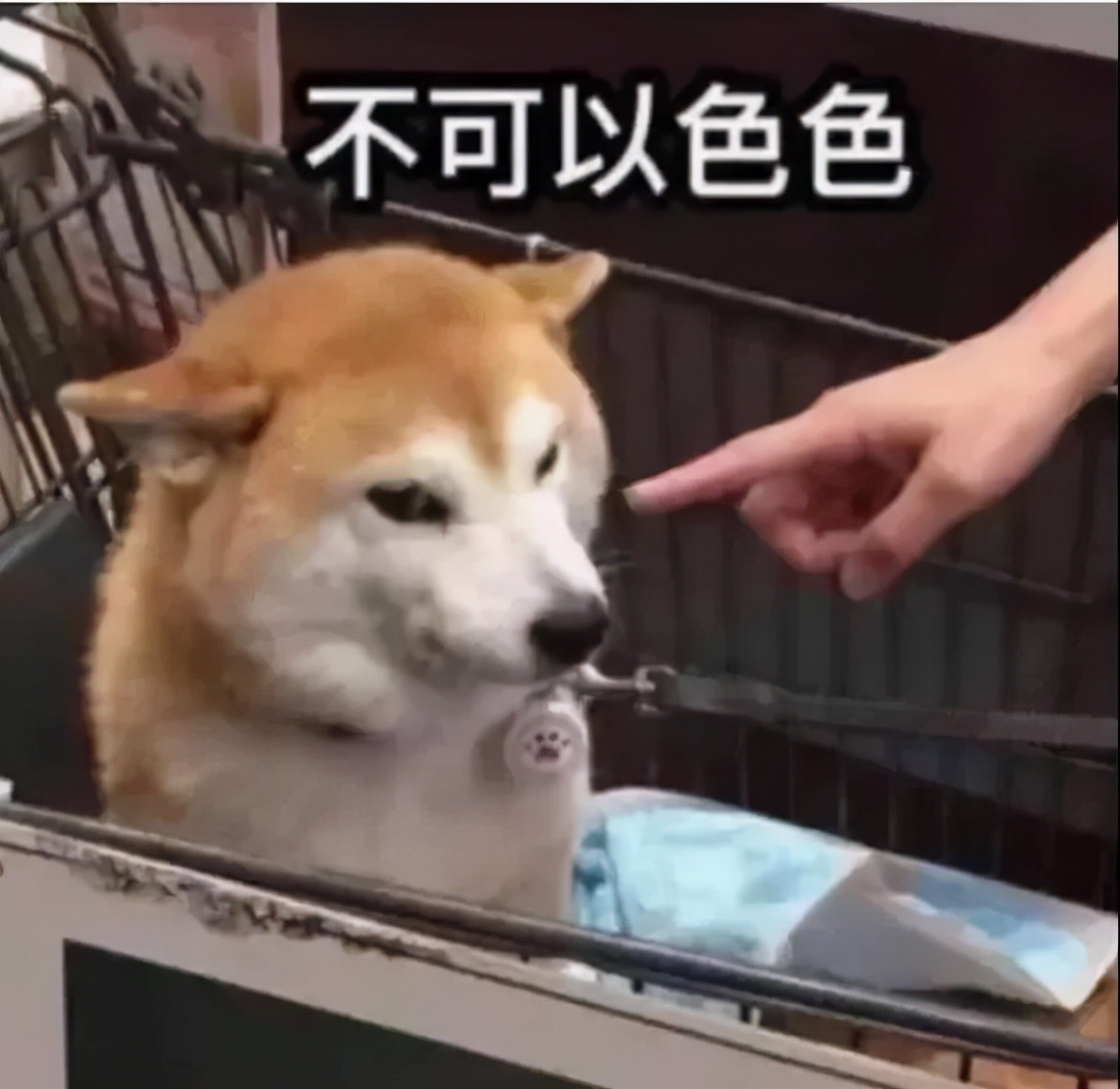 如何在百度上面找av资源_程序员内网分享AV信息被百度开除_百度员工内网上传AV信息被开除