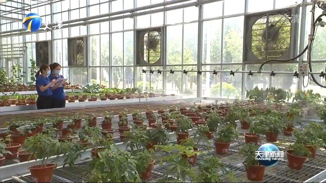 大禹节水智慧生态农业示范园节水技术_天津新闻联播视频_天津电视台新闻联播大禹节水采访