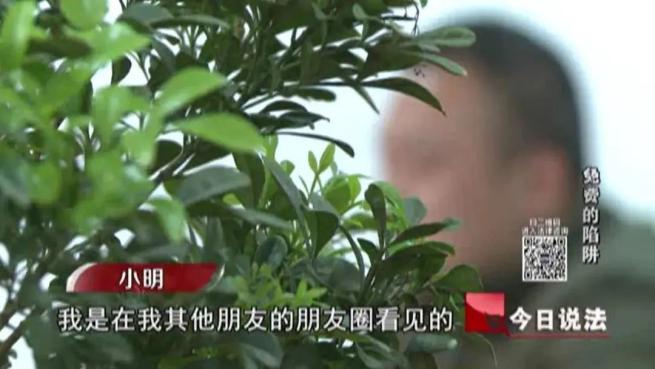 免费算命朋友圈骗局_抽签算命准吗_微信朋友圈算命骗局分析