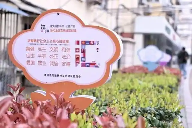 街头巷尾“文明之花”处处盛放，别看小小只，却有大能量！