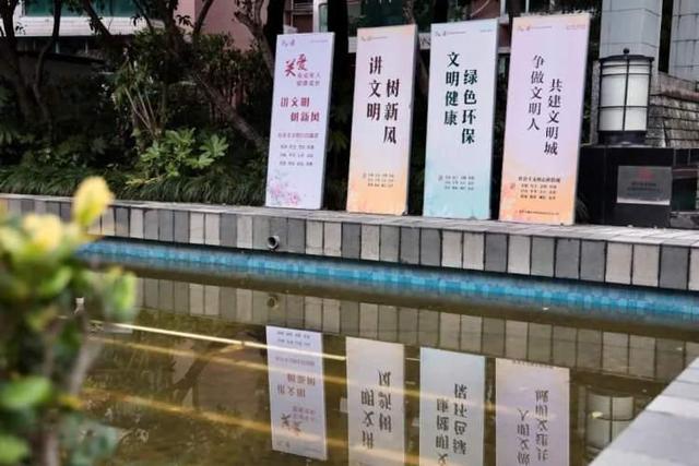 街头巷尾“文明之花”处处盛放，别看小小只，却有大能量！