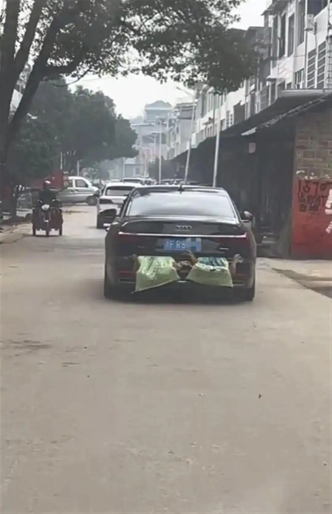 开车返程，后备箱被家人塞满土特产，车尾挂了四只大鸭子