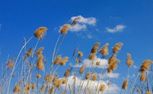 详细阅读:一个家庭不聚财的时候,女主人做对这两件事就行了 一个家庭不聚财的时候,女主人做对这两件事就行了