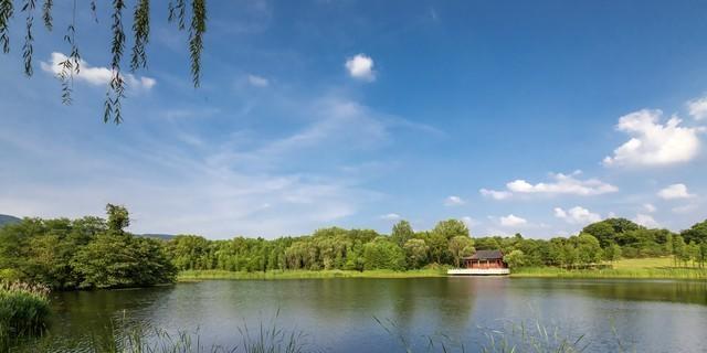 家庭情绪理财_家庭理财官方网站栏_情绪稳定器财务影响