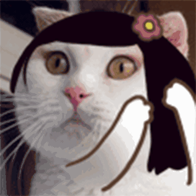 什么邮件内容会进垃圾箱_邮件联系导师注意事项_提前联系导师邮件技巧