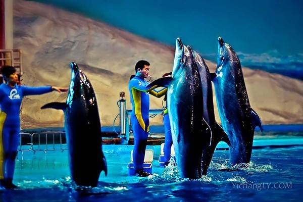 海昌极地海洋公园