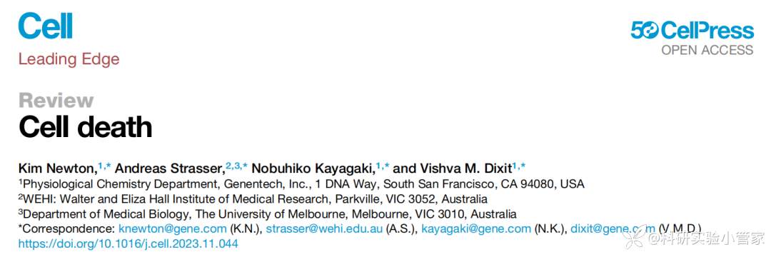 《Cell》发布细胞死亡综述：凋亡、坏死性凋亡、焦亡和铁死亡