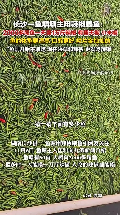长沙鱼塘主回应用辣椒喂鱼：鱼吃了后体型更漂亮、口感更好；专家：肉质不会带有辣味