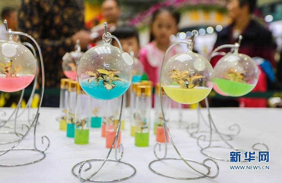 漳州新闻网 第十七届花博会_第九届海峡两岸现代农业博览会·第十九届海峡两岸花卉博览会 福建漳州花博园 果蔬轨道栽培技术