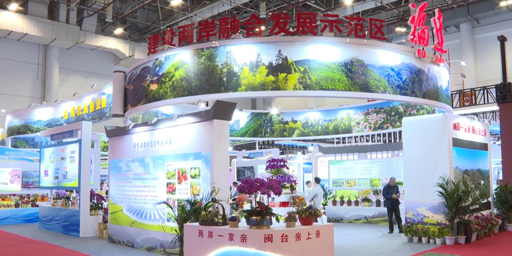 漳州新闻网 第十七届花博会_2024年海峡两岸现代农业博览会_海峡两岸花卉博览会漳州