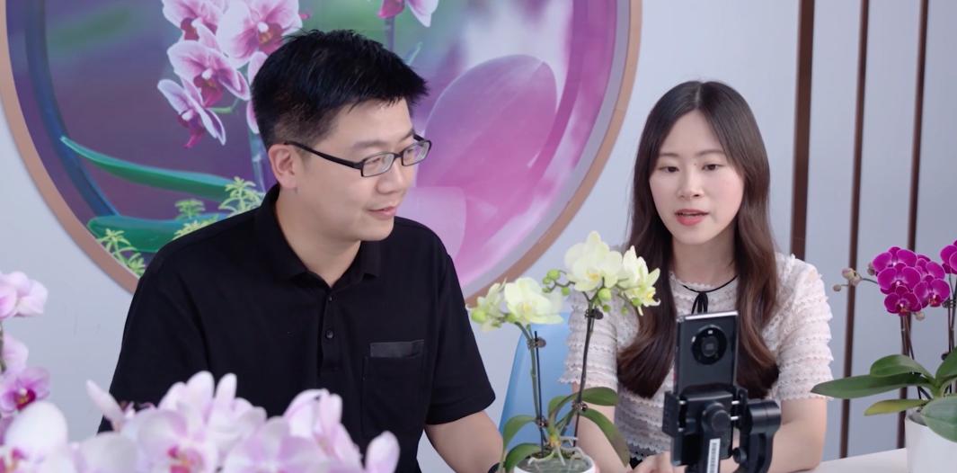 2024年海峡两岸现代农业博览会_海峡两岸花卉博览会漳州_漳州新闻网 第十七届花博会