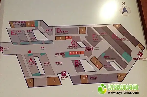 沈阳省妇婴医院_沈阳市妇婴医院科室介绍_沈阳市妇婴医院地址交通
