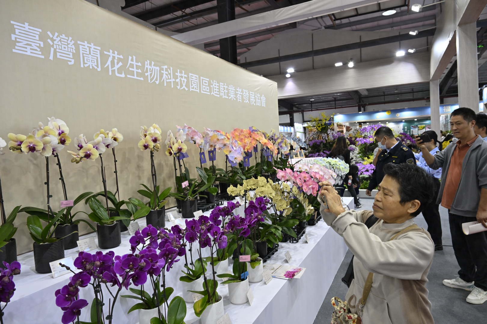 农博会 · 花博会将于12月20-23日在漳州市举行