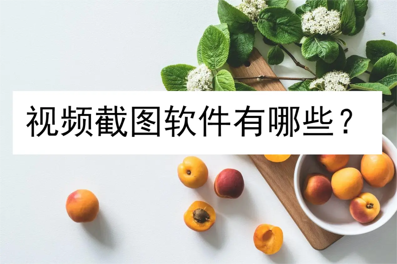 视频截图软件有哪些？这些软件不可错过