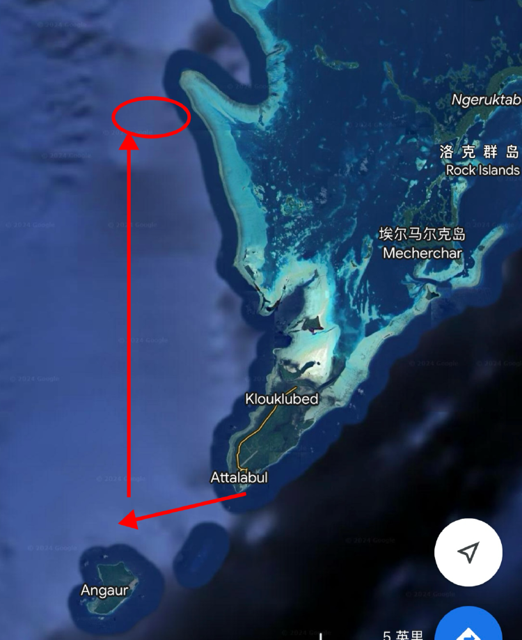 中国公民潜水救援过程_中国游客在帕劳潜水像下饺子_帕劳潜水失联9人全部找到