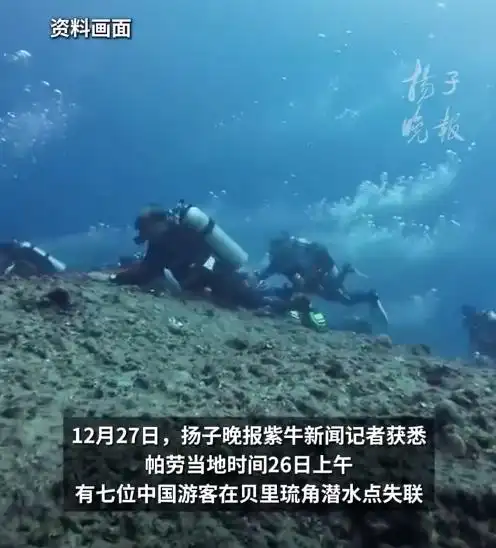 中国游客帕劳潜水事故_帕劳潜水失联事件_中国游客在帕劳潜水像下饺子