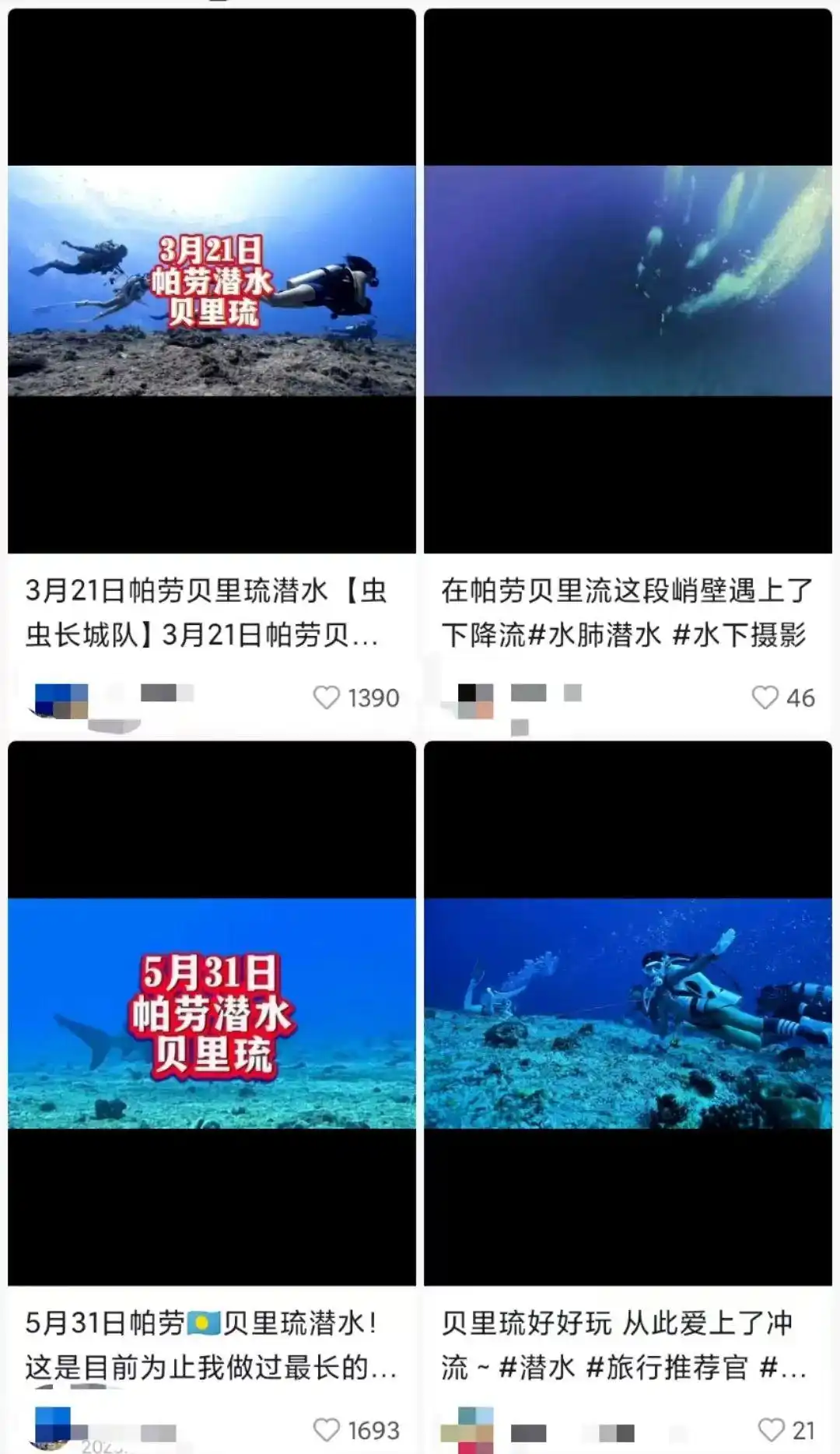 帕劳潜水失联事件_中国游客帕劳潜水事故_中国游客在帕劳潜水像下饺子