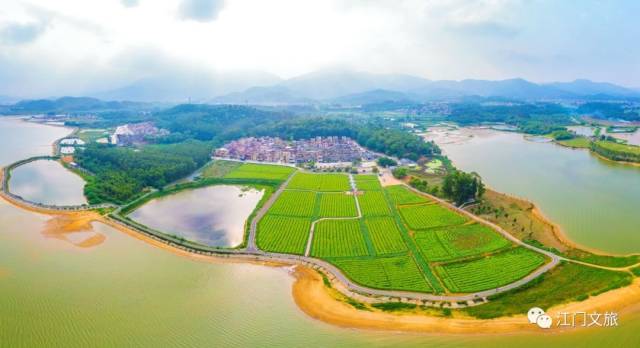 反向旅游 小众旅游目的地 非主流旅游目的地_“出片式旅行” 正毁掉当代人的假期