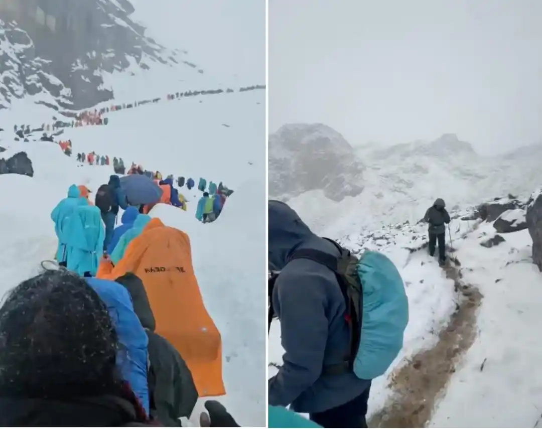 珠峰暴雪中，向导一人一狗带上百人撤离，有人转账5000元感谢，本人回应