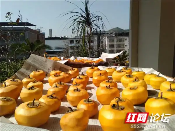 阳台花卉种植分享_“家和万事兴”_阳台改建一家亲