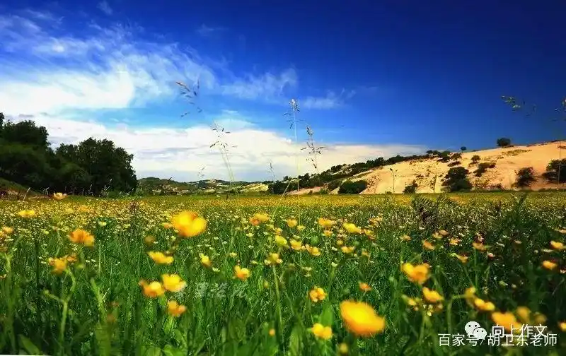 如何把景物写美 拟人比喻引用_运用修辞手法描写景物