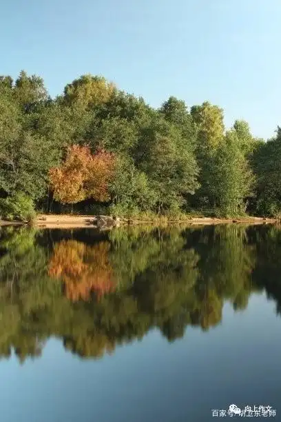 如何把景物写美 拟人比喻引用_运用修辞手法描写景物