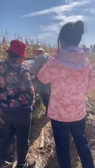 面馆休业几天 老板用文言文写请假条_店主回乡秋收孝心故事_山西大同面馆文言文请假条