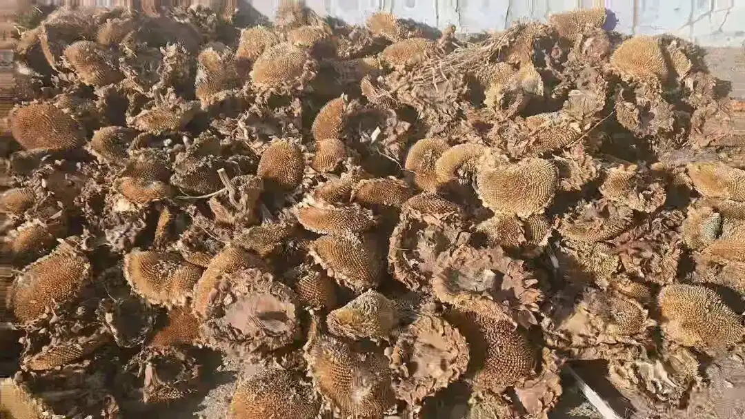 山西大同面馆文言文请假条_店主回乡秋收孝心故事_面馆休业几天 老板用文言文写请假条