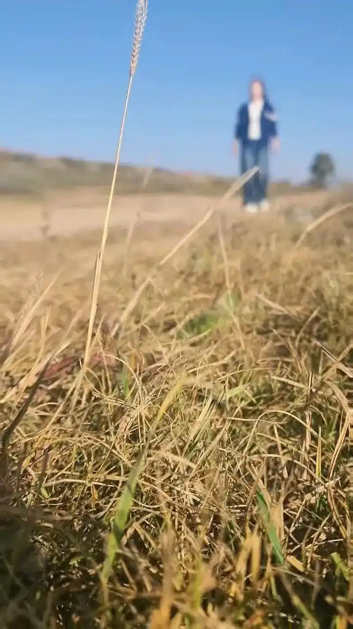 店主回乡秋收孝心故事_山西大同面馆文言文请假条_面馆休业几天 老板用文言文写请假条