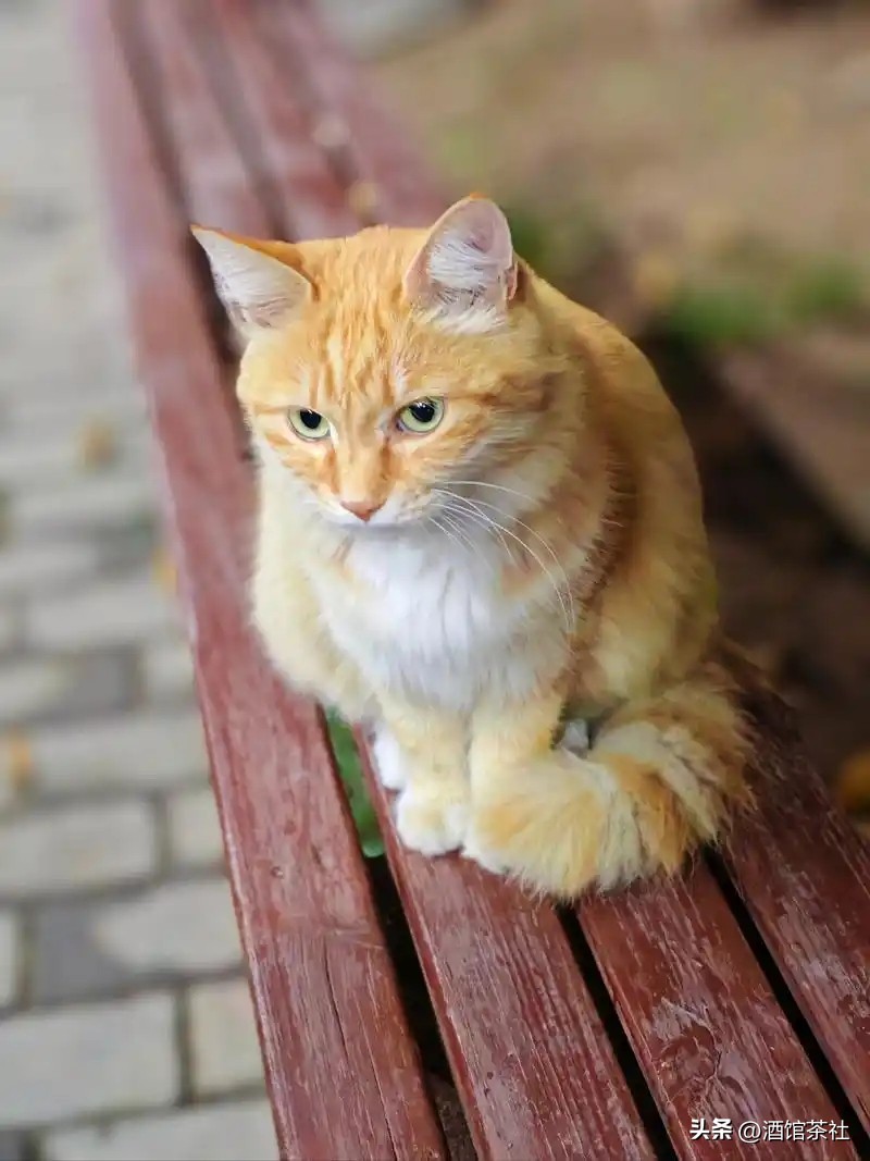 淘宝宝贝关键字优化_淘宝AI购物助手_淘宝AI搜索