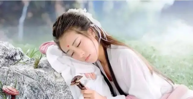 仙子_中国四大仙子_嫦娥仙子故事