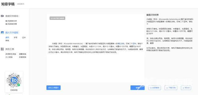 免费的图片转文字工具有哪些（三款超级好用的图片转文本工具推荐）(3)