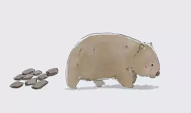 进化世界袋熊_袋熊与树袋熊差异_袋熊方形便便成因