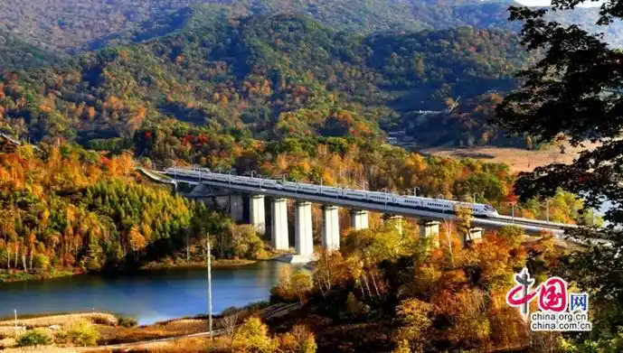 东北最美高铁赋能东北振兴发展启新程(图)