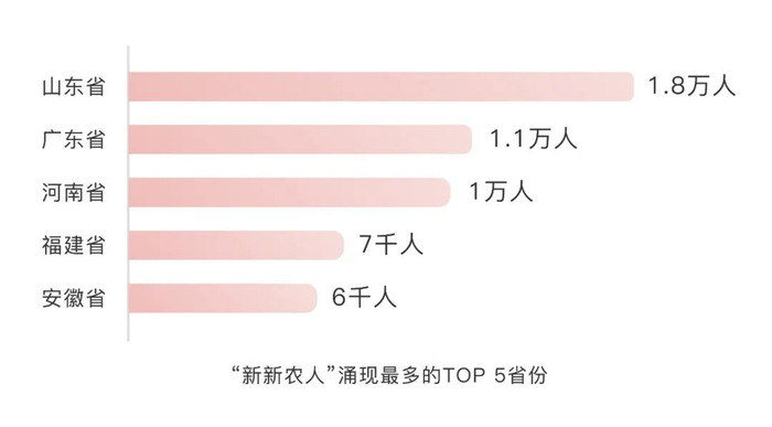 新新农人电商品牌化_返乡创业新农人_最近流行的新电商网站