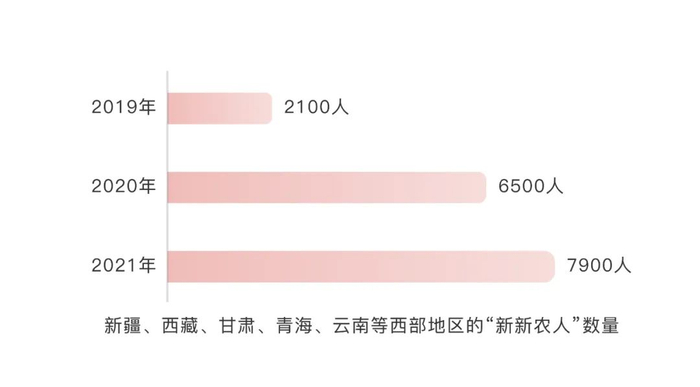 新新农人电商品牌化_最近流行的新电商网站_返乡创业新农人