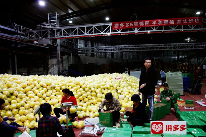 返乡创业新农人_最近流行的新电商网站_新新农人电商品牌化