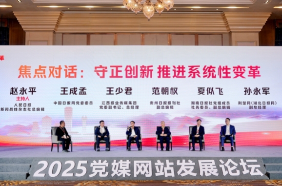 地方新闻网站需要什么手续_人工智能+媒体系统性变革_党媒网站发展论坛