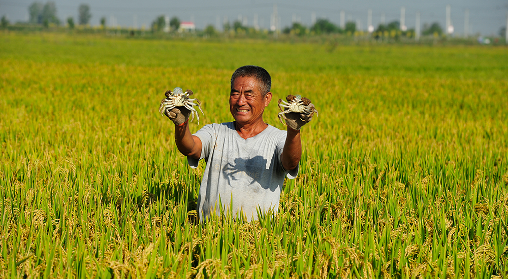 推动高质量发展 河北省新闻发布会 京津冀协同发展_人民网河北