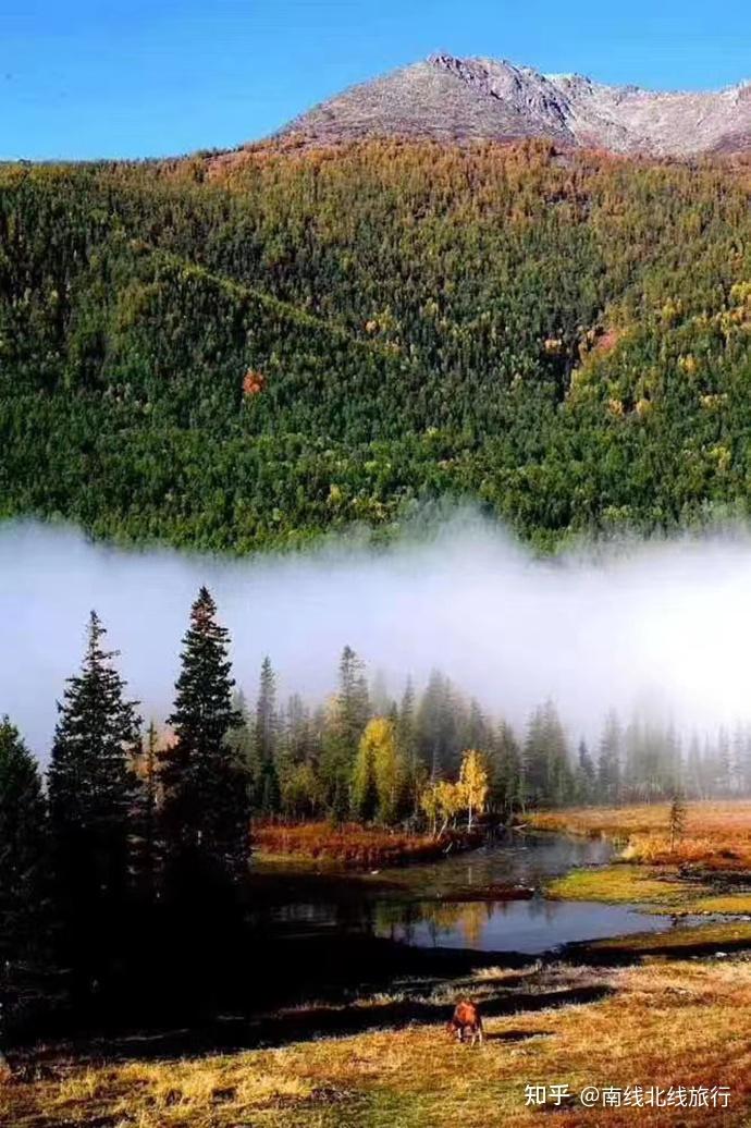 新疆比较大的论坛网站_新疆南北疆旅游路线_新疆南北疆景点推荐