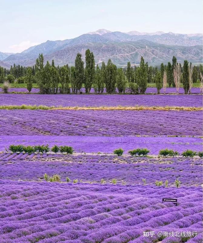 新疆比较大的论坛网站_新疆南北疆景点推荐_新疆南北疆旅游路线