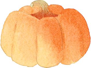 美好生活+丨羽绒服能干洗吗？洗衣机清洗羽绒服会爆炸？正确的清洗方法看这里！